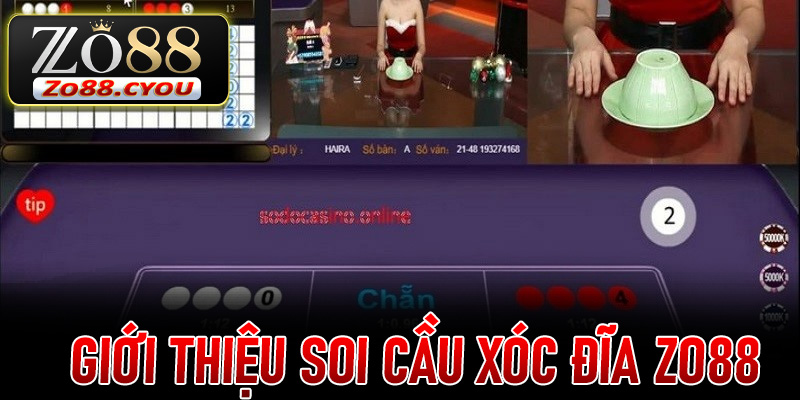 Giới thiệu Soi Cầu Xóc Đĩa ZO88